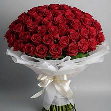 Букет 101 Красная роза Блэк Мэджик в Майне