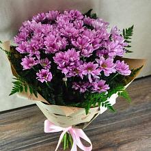 Букет цветов из:  Хризантемы #REPLACE_PRED# Майне
