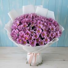 Букет цветов из:  Хризантемы в Майне