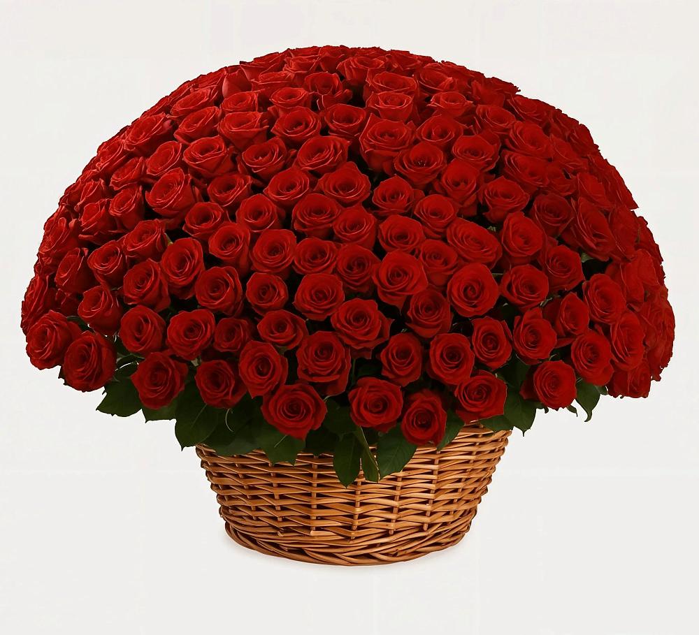 Премиум букет из: Розы в Майне