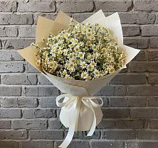 Букет цветов из:  Ромашки в Майне