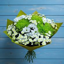 Букет цветов из:  Хризантемы #REPLACE_PRED# Майне