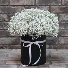 Цветочная композиция из Гипсофила в шляпной коробке в Майне