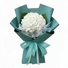 Букет цветов из:  Гортензия в Майне